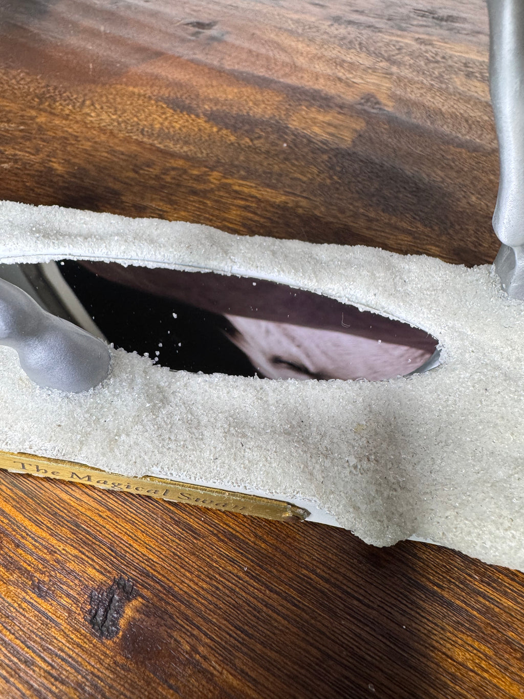 Trail of Painted Ponies The Magical Swan