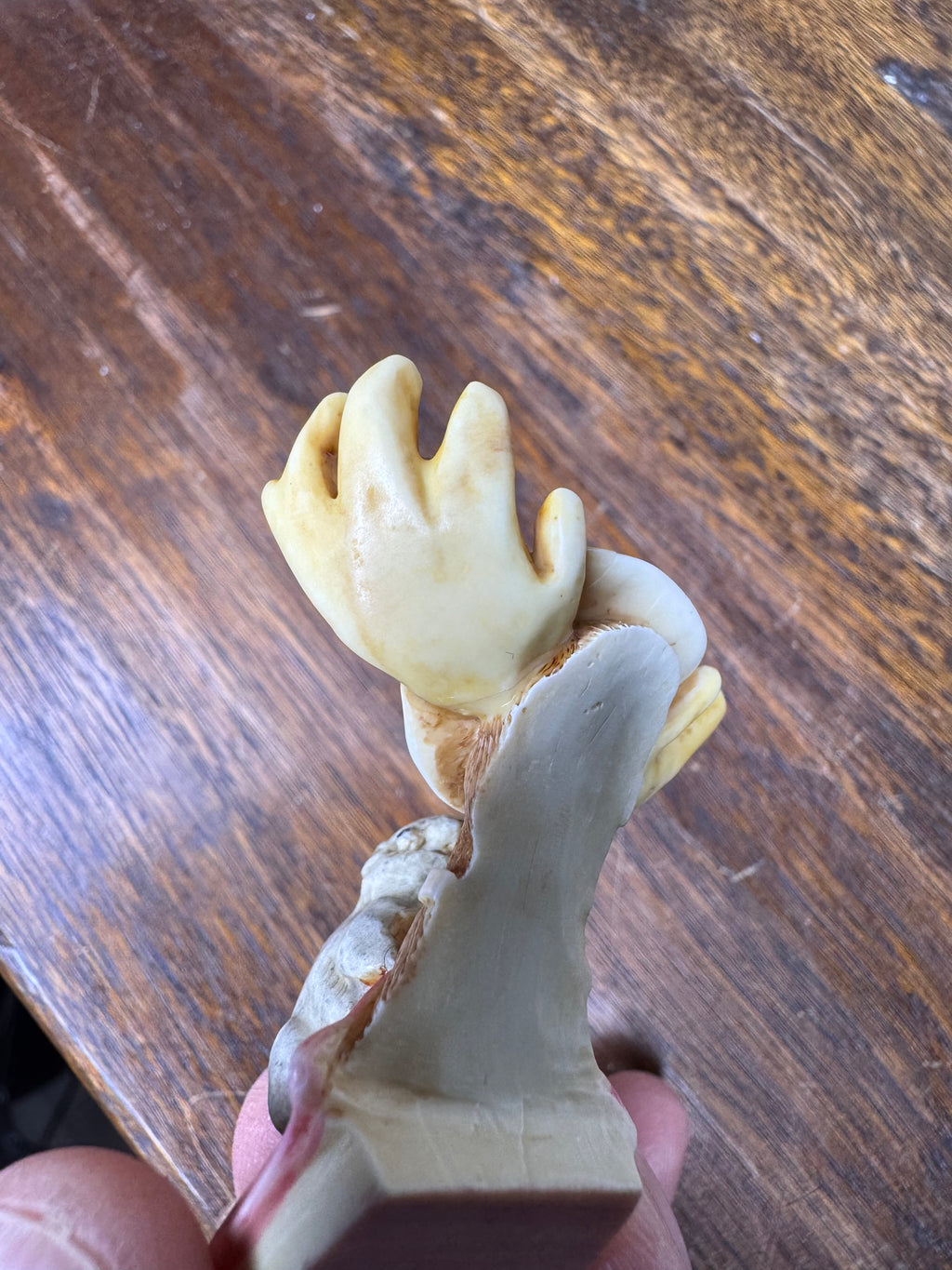 Harmony Kingdom "Beer Nuts" Figurine *Repaired* w/Original Box