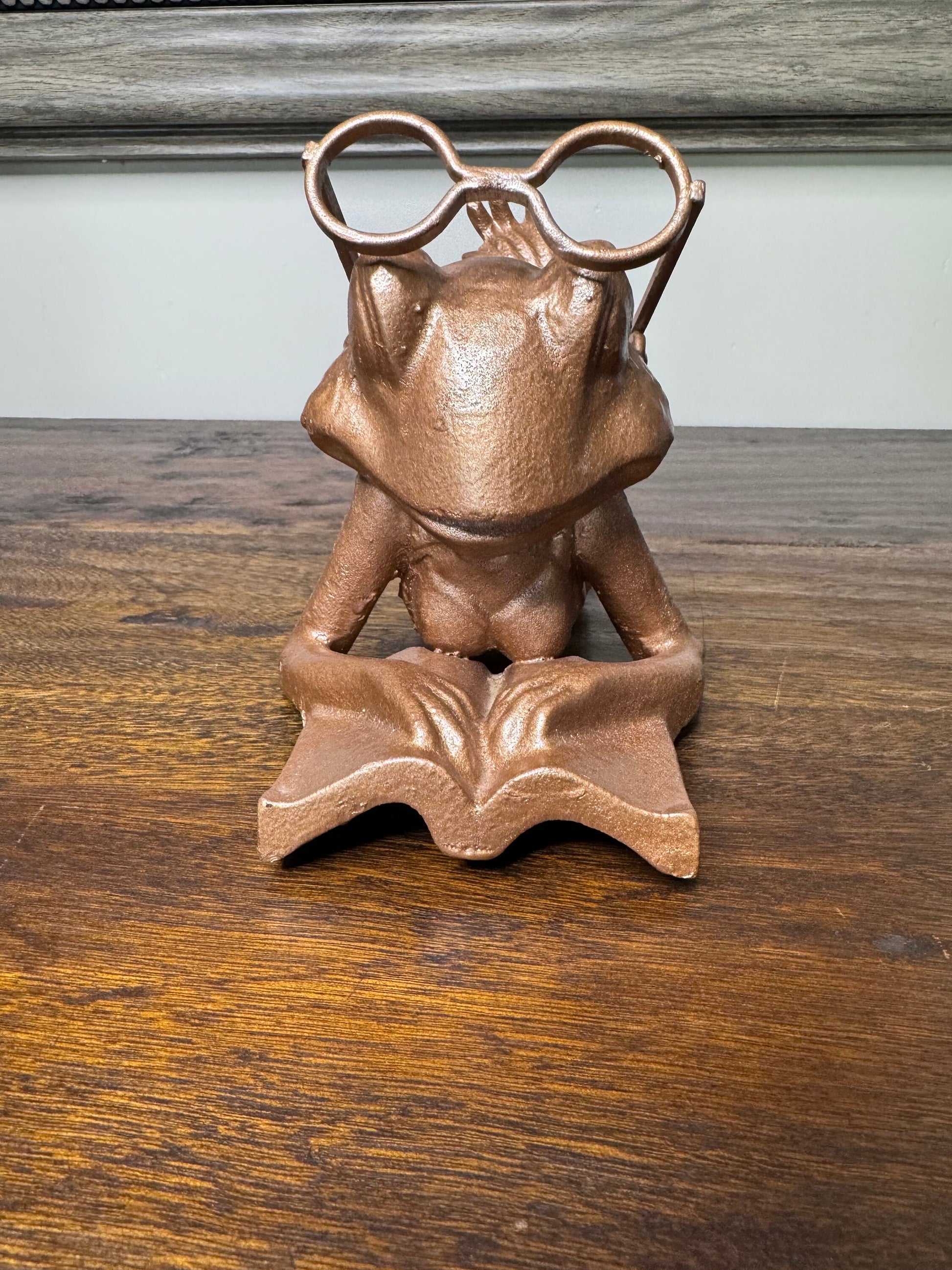 Large Cast Iron Frog Reading a Book