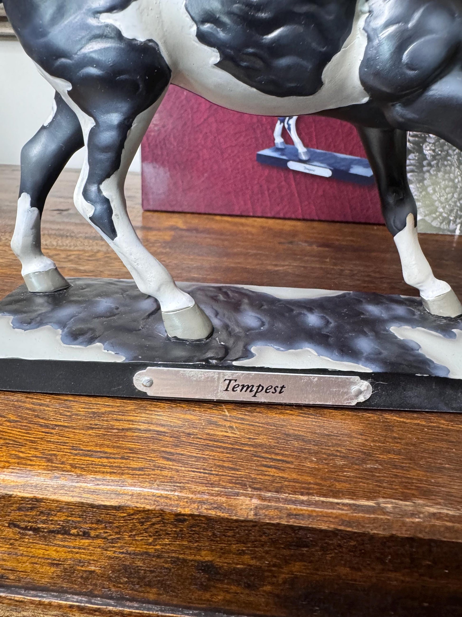 1st Edition Trail of Painted Ponies “ Tempest” w/ Original Packaging